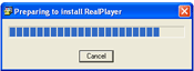 RealPlayer 11 install