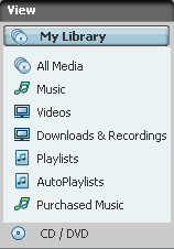 RealPlayer 11 library interface